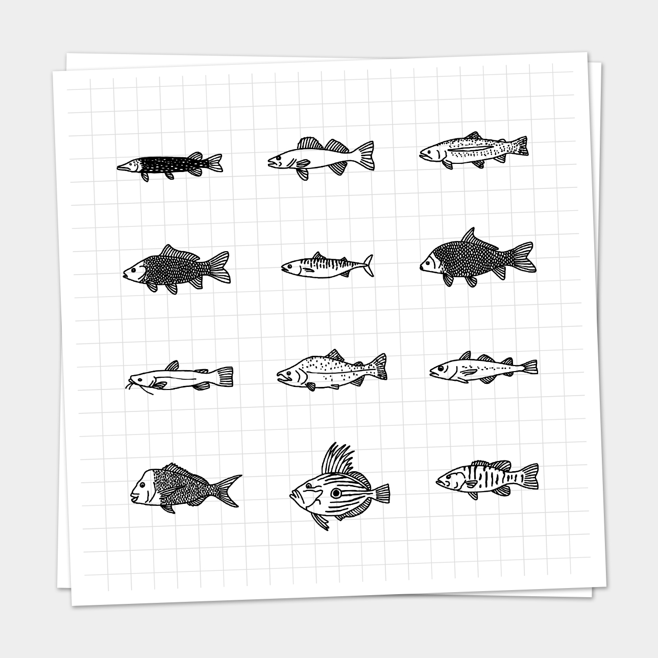 fish-icons-pauline-baartmans